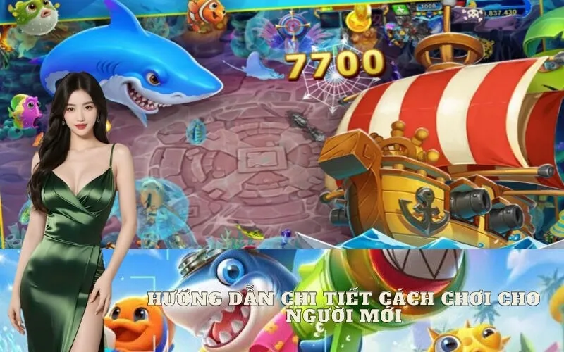 Hướng dẫn chi tiết cách chơi cho người mới