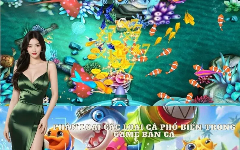 Phân loại các loại cá phổ biến trong game bắn cá